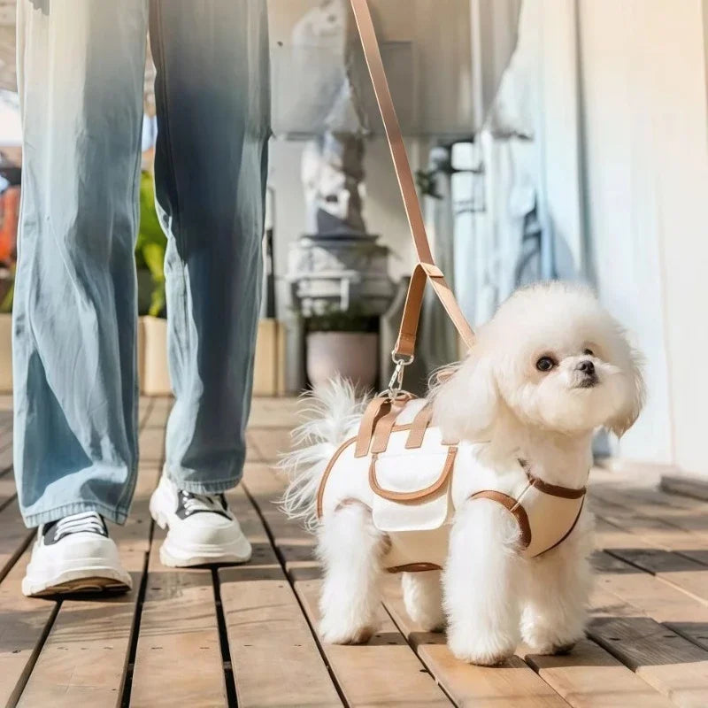 Premium Hands-Free Pet Sling Carrier – Breathable Safety Travel Backpack with Leash Attachment for Small Dogs, Cats & Puppies